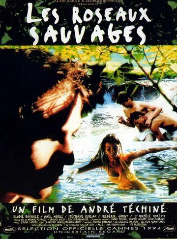 Постер: Дикий тростник / Les roseaux sauvages (1994)