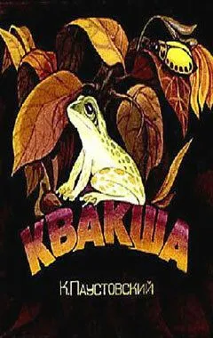 Постер: Квакша (1979)