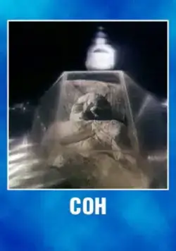 Постер: Сон (1988)