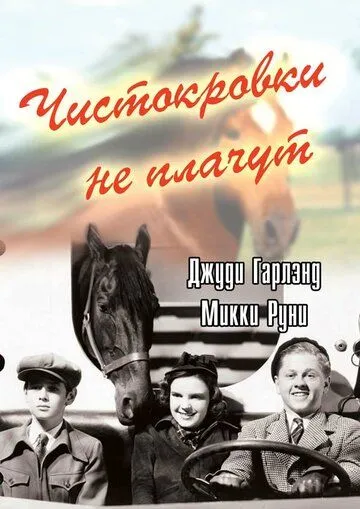 Постер: Чистокровки не плачут / Thoroughbreds Don't Cry (1937)