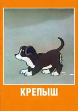 Постер: Крепыш (1950)