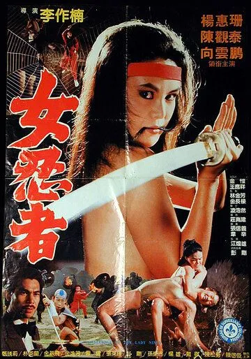 Постер: Задание леди-ниндзя / Lang nu shen long jian (1983)