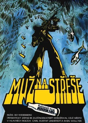 Постер: Человек на крыше / Mannen på taket (1976)