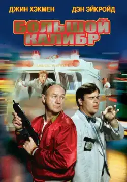 Постер: Большой калибр / Loose Cannons (1990)