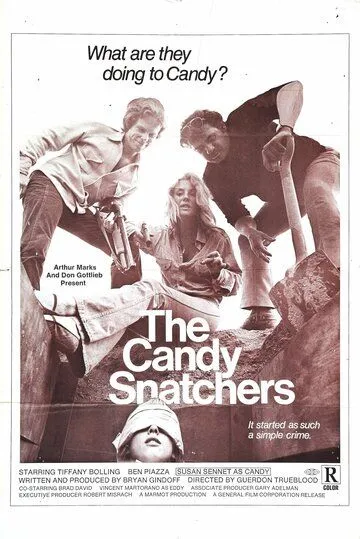 Постер: Похитители Кэнди / The Candy Snatchers (1973)