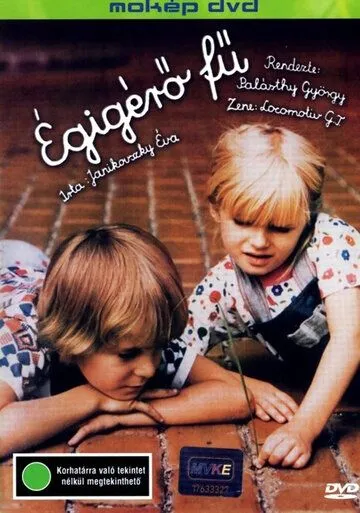 Постер: Трава до неба / Égigérö fü (1979)