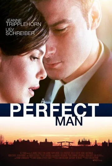 Постер: Совершенный мужчина / A Perfect Man (2013)