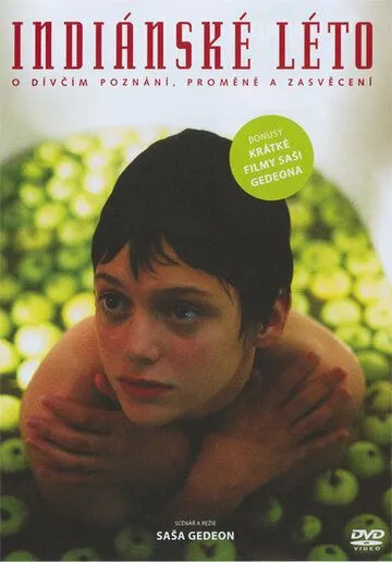 Постер: Индейское лето / Indiánské léto (1995)