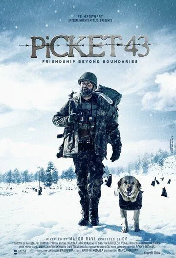 Постер: 43-я застава / Picket 43 (2015)