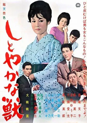 Постер: Изящное чудовище / Shitoyakana kedamono (1962)