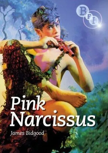 Постер: Розовый нарцисс / Pink Narcissus (1971)