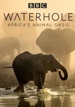 Постер: BBC. Водопой: Африканский Оазис для Животных / Waterhole: Africa's Animal Oasis (2020)