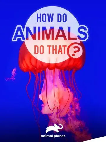 Постер: Удивительный мир животных / How do Animals do That (2019)