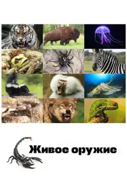 Постер: Живое оружие / Animal Armory (2016)