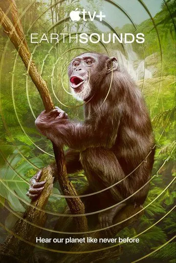 Постер: Звуки Земли / Earthsounds (2024)