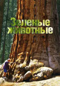 Постер: Зелёные животные / Green Animal (2015)