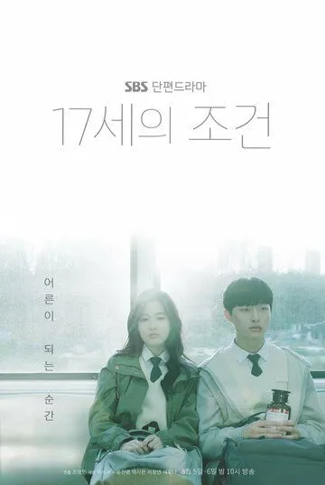 Постер: Условия 17-летних / 17seui jogeon (2019)