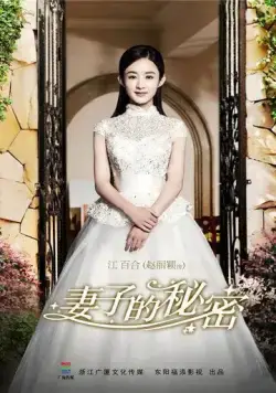 Постер: Секрет жены / Qi zi de mi mi (2014)