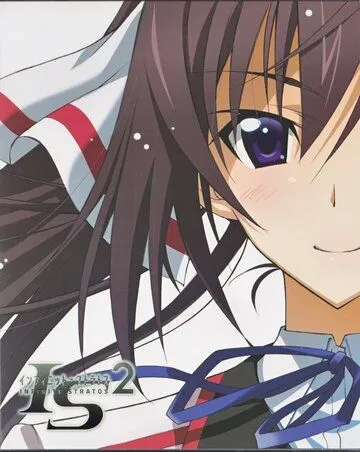 Постер: Бесконечные небеса 2: Воспоминания о лете / IS: Infinite Stratos 2 - Hitonatsu no Omoide (2013)
