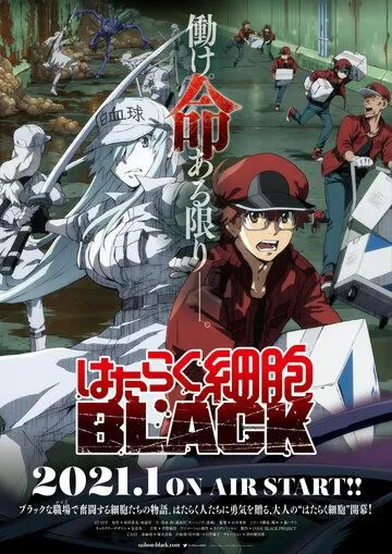 Постер: Клетки за работой! Тёмная сторона / Hataraku Saibou Black (2021)