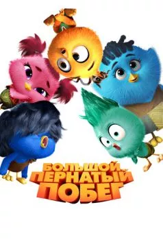 Постер: Большой пернатый побег / Out of the Nest (2024)