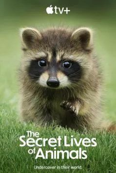 Постер: Тайная жизнь животных / The Secret Lives of Animals (2024)