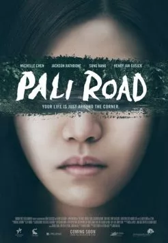 Постер: Дорога на Пали / Pali Road (2015)