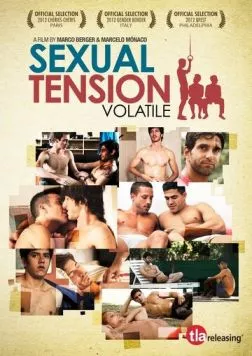 Постер: Сексуальное напряжение, Часть 1: Нестабильный / Tensión sexual, Volumen 1: Volátil (2012)