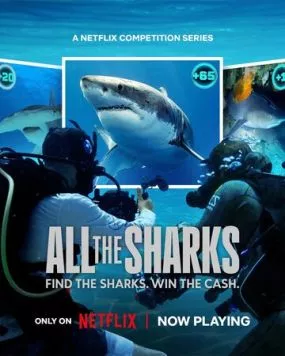 Постер: Все акулы / All the Sharks (2025)