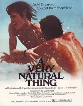 Постер: Вполне естественно / A Very Natural Thing (1974)