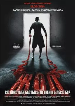 Постер: Жол / Zhol (2013)