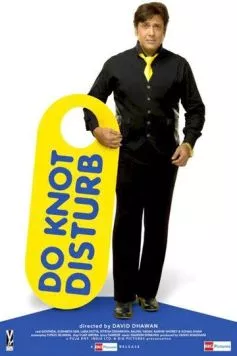 Постер: Не беспокоить / Do Knot Disturb (2009)