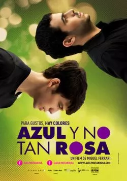 Постер: Синий, розовый и не такой розовый / Azul y no tan rosa (2012)