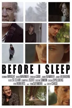 Постер: Перед сном / Before I Sleep (2013)
