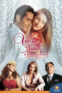 Постер: Фата невесты / Velo de novia (2003)