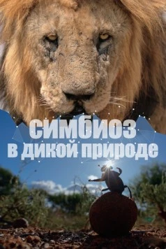 Постер: Симбиоз в дикой природе / Connection (2023)