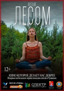 Постер: Лесом (2017)