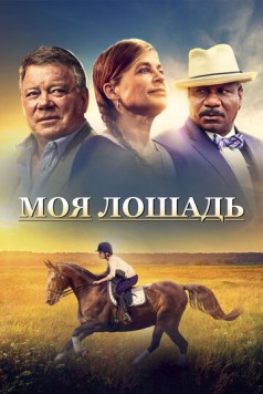 Постер: Моя лошадь / A Sunday Horse (2016)