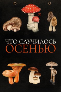 Постер: Что случилось осенью / Quand vient l'automne (2024)