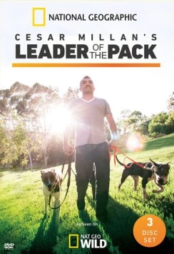 Постер: Сесар Миллан: Вожак стаи / Cesar Millan's Leader of the Pack (2012)