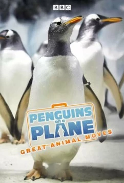 Постер: Пингвины на самолете: Передвижение великих животных / Penguins on a Plane: Great Animal Moves (2014)