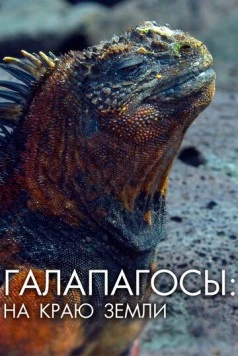 Постер: Галапагосы: На краю земли / Galapagos: The Edge of the World (2018)