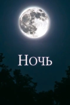 Постер: Ночь / The Night (2018)