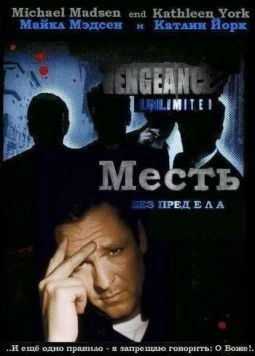 Постер: Месть без предела / Vengeance Unlimited (1998)