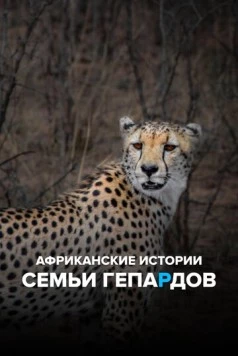 Постер: Африканские истории семьи гепардов / Maleika's African Tales (2020)