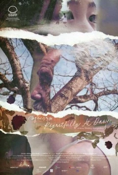 Постер: С сожалением на рассвете / A run gaan (2024)