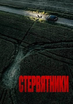 Постер: Стервятники (2025)