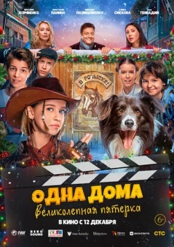 Постер: Одна дома: Великолепная пятерка (2024)