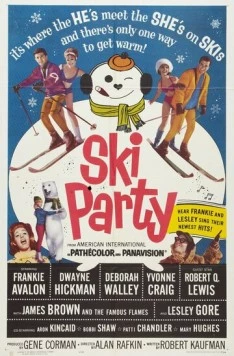 Постер: Веселье на лыжах / Ski Party (1965)