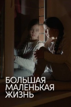 Постер: Большая маленькая жизнь / Big Little Life (2020)
